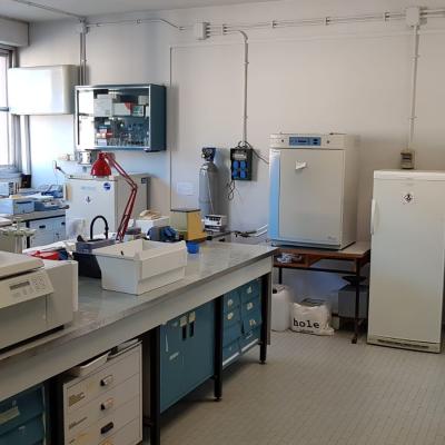 Enea Laboratory